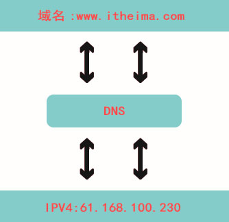 1576332065307_DNS.jpg